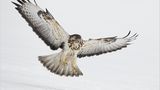Fotogalerie: Biologische Vielfalt - Bild 6