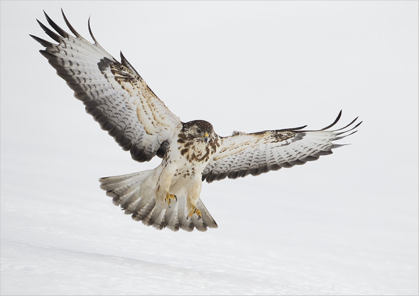 Fotogalerie: Biologische Vielfalt - Bild 6