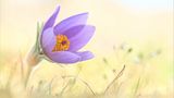 Fotogalerie: Biologische Vielfalt - Bild 9