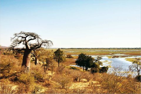 Fotogalerie: Namibia - Ein Schatz für Tiere