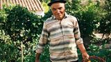 Cabaz da Horta