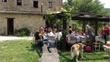 Fotogalerie: Tribewanted Monestevole - Bild 3