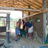 Fotogalerie: Tribewanted Monestevole - Bild 14