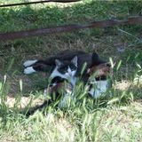 Tribewanted: Urlaub mit der Natur - Bild 6