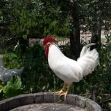 Tribewanted: Urlaub mit der Natur - Bild 7