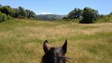 Tribewanted: Urlaub mit der Natur - Bild 9