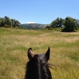 Tribewanted: Urlaub mit der Natur - Bild 9