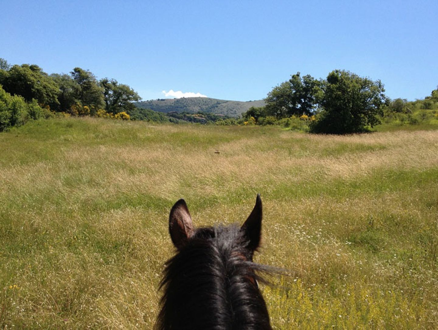 Tribewanted: Urlaub mit der Natur - Bild 9