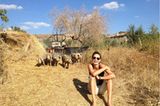 Tribewanted: Urlaub mit der Natur - Bild 11
