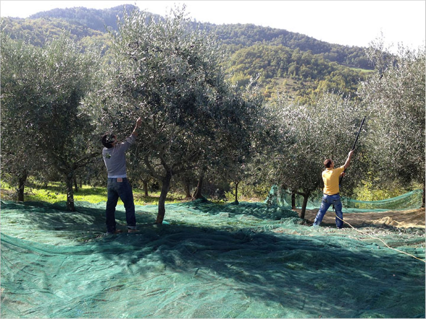 Tribewanted: Urlaub mit der Natur - Bild 14