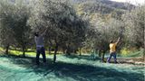 Tribewanted: Urlaub mit der Natur - Bild 14