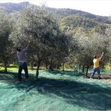 Tribewanted: Urlaub mit der Natur - Bild 14