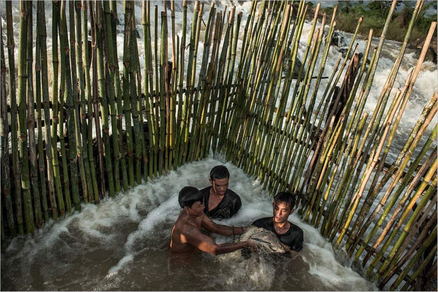 Fotogalerie: Traditionelle Mekong-Fischerei vor dem Aus - Bild 9 Fotogalerie: Traditionelle Mekong-Fischerei vor dem Aus - Bild 9
