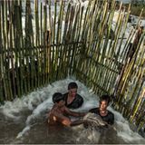 Fotogalerie: Traditionelle Mekong-Fischerei vor dem Aus - Bild 9