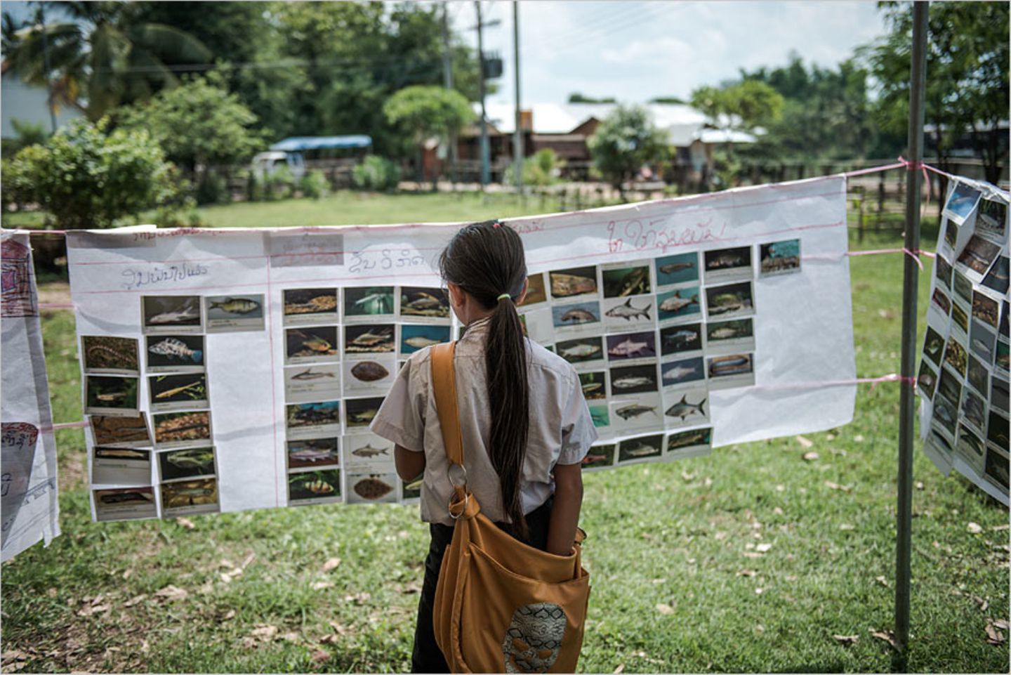 Fotogalerie: Traditionelle Mekong-Fischerei vor dem Aus - Bild 10 Fotogalerie: Traditionelle Mekong-Fischerei vor dem Aus - Bild 10