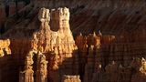 Hoodoos im Bryce Canyon