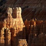 Hoodoos im Bryce Canyon