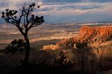 Der Rim Trail