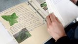 Schülerwettbewerb 2013: Die Gewinner - Bild 2