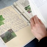 Schülerwettbewerb 2013: Die Gewinner - Bild 2