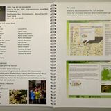 Der GEO-Schülerwettbewerb 2013