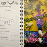 Der GEO-Schülerwettbewerb 2013