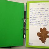 Der GEO-Schülerwettbewerb 2013