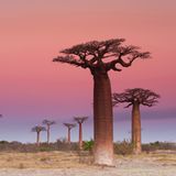 Fotogalerie: Traumkulisse Indischer Ozean - Bild 3