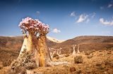 Fotogalerie: Traumkulisse Indischer Ozean - Bild 9