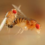 Geglückte Umwerbung