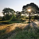 Sommermorgen über der Geest