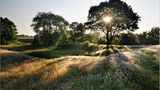 Sommermorgen über der Geest