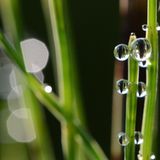 Im Frühtau zu Berge