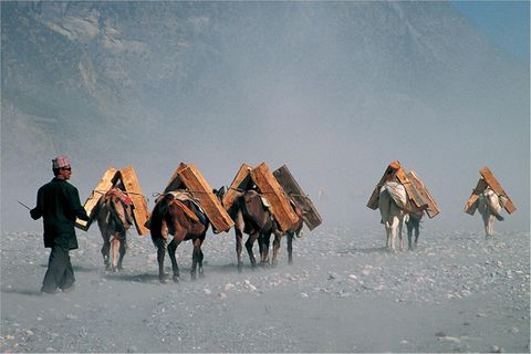 Fotogalerie: Faszination Nepal
