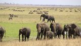 Kino: Kinotipp: African Safari 3D - Bild 6