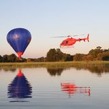 Kino: Kinotipp: African Safari 3D - Bild 9