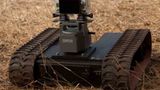 Kino: Kinotipp: African Safari 3D - Bild 10