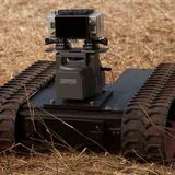 Kino: Kinotipp: African Safari 3D - Bild 10