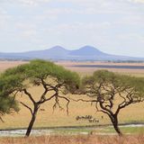 Kino: Kinotipp: African Safari 3D - Bild 11