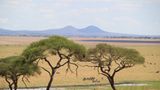 Kino: Kinotipp: African Safari 3D - Bild 11