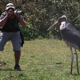 Kino: Kinotipp: African Safari 3D - Bild 20