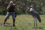 Kino: Kinotipp: African Safari 3D - Bild 20