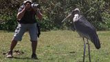 Kino: Kinotipp: African Safari 3D - Bild 20
