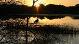 Kino: Kinotipp: African Safari 3D - Bild 22