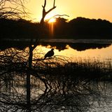 Kino: Kinotipp: African Safari 3D - Bild 22