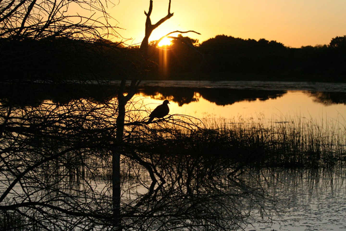 Kino: Kinotipp: African Safari 3D - Bild 22