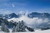 Ein Herz für den Winter