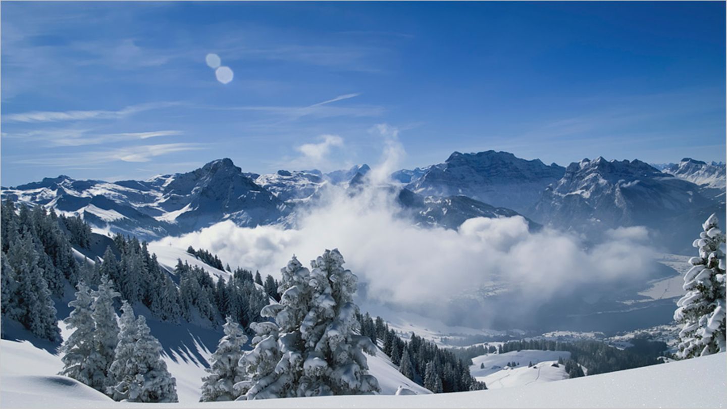 Ein Herz für den Winter
