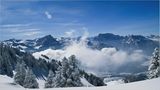 Ein Herz für den Winter