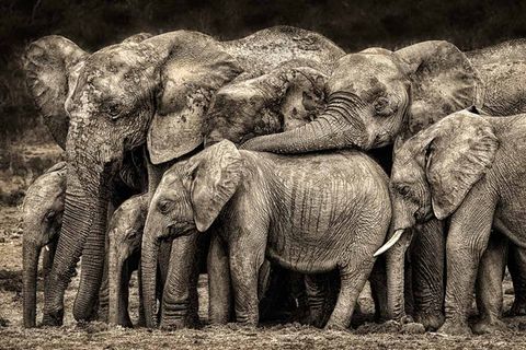 Fotogalerie: Am Puls der Natur